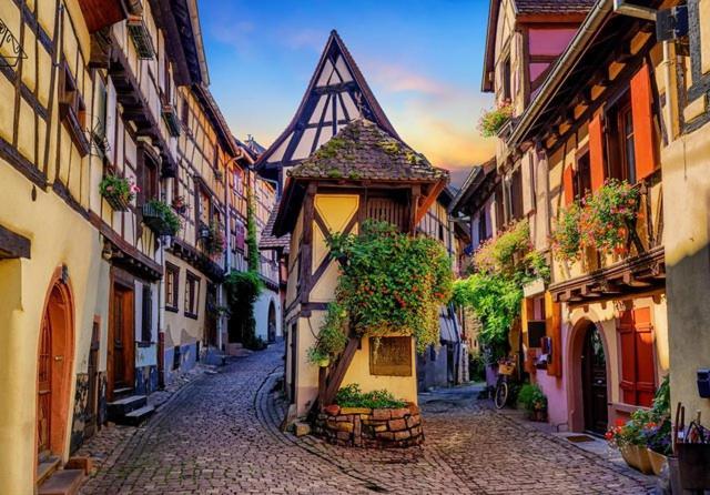 Le Marcellin Colmar - Garage - Terrasse Lejlighed Eksteriør billede